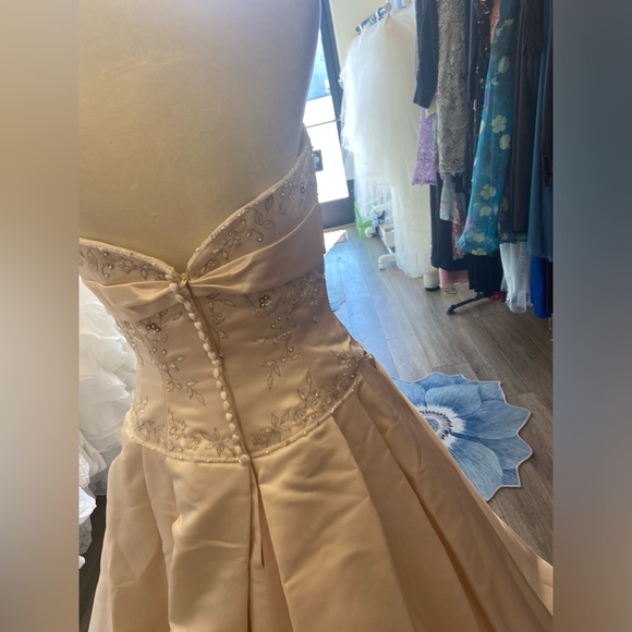 Jasmine Wedding Dress - Picture 10 of 12